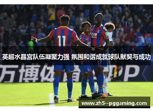 英超水晶宫队伍凝聚力强 氛围和谐成就球队默契与成功 英超水晶宫队伍凝聚力强 氛围和谐成就球队默契与成功